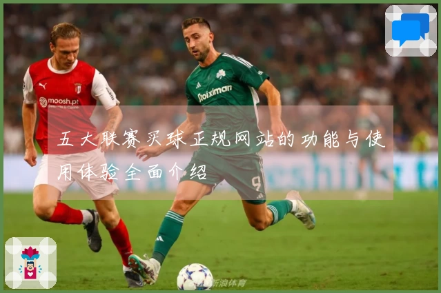 五大联赛买球正规网站的功能与使用体验全面介绍