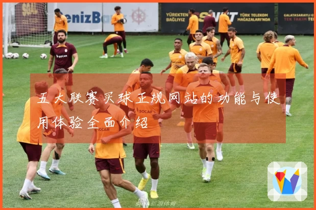五大联赛买球正规网站的功能与使用体验全面介绍