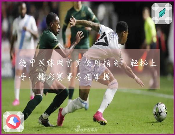 德甲买球网首页使用指南：轻松上手，精彩赛事尽在掌握